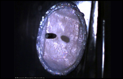 Pelle antiproietttile